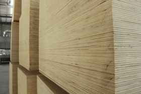 Flame retardant plywood-09