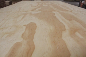 Plywood for packaging-16